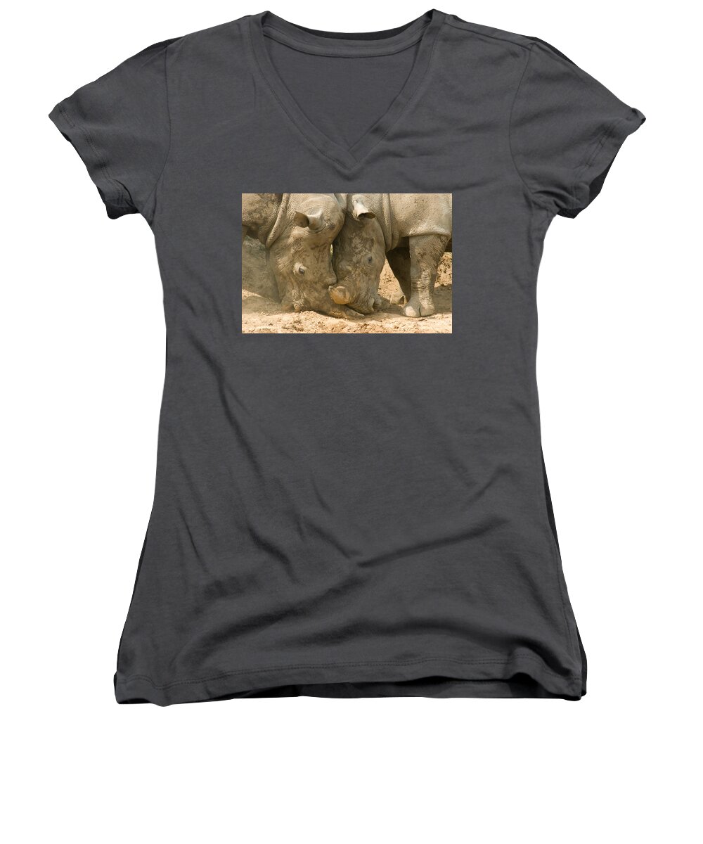 Rhinoceros Women's V-Neck featuring the photograph Rhino Wrestling by Jeremy Voisey