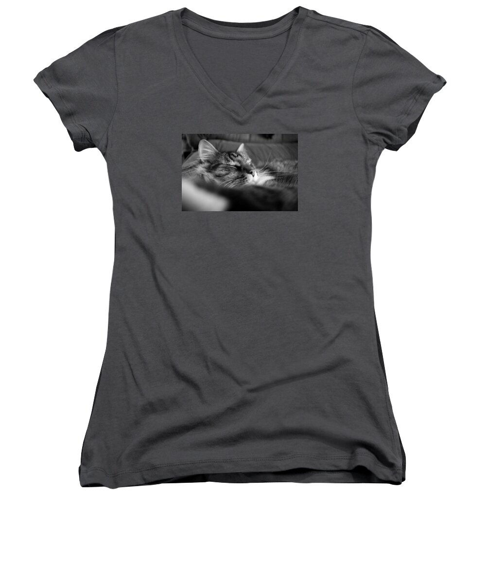 House Cat Women's V-Neck featuring the photograph Ringo by Joseph C Hinson