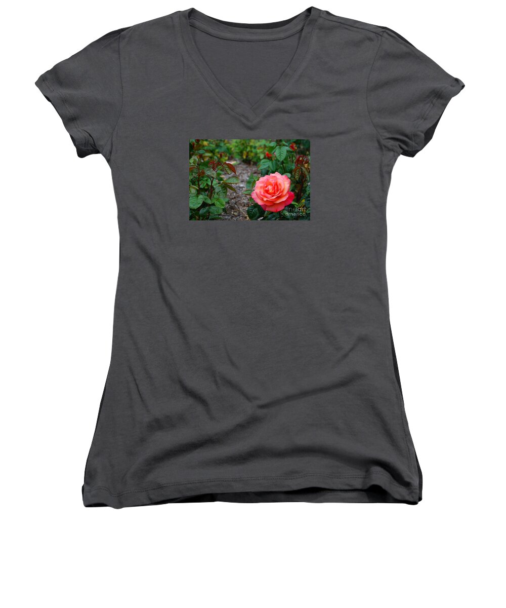 Rose Women's V-Neck featuring the photograph Rose Garden by Richard Gibb