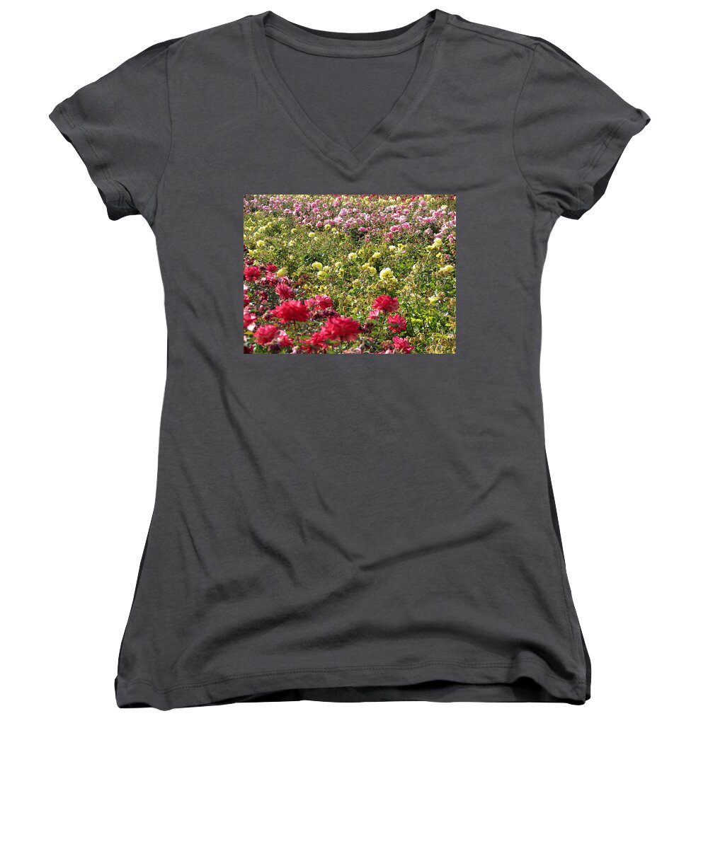 Roses Women's V-Neck featuring the photograph Roses Roses Roses by Laurel Powell