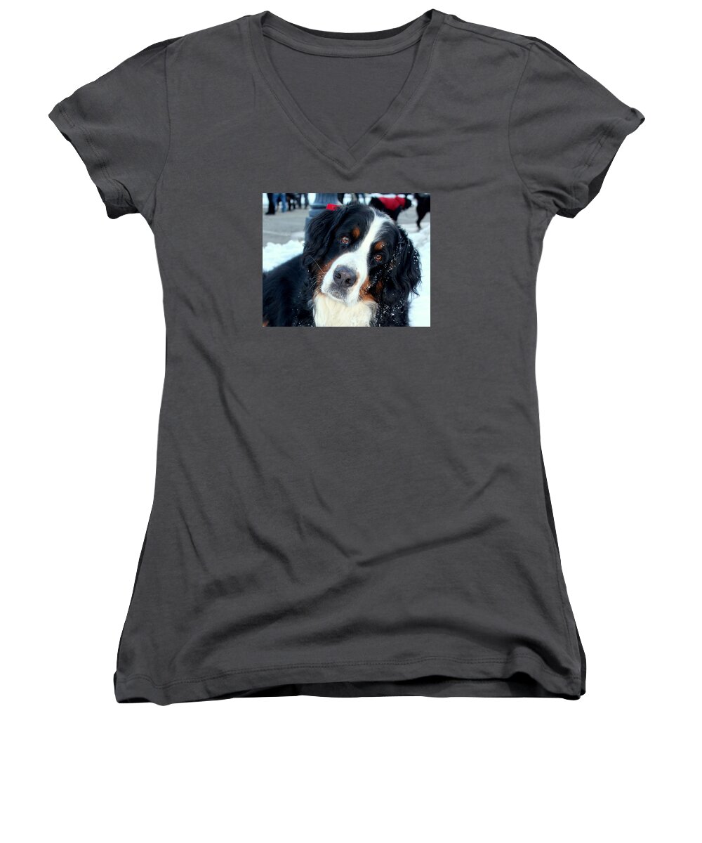 Bernese Mountain Dog Women's V-Neck featuring the photograph You Said You Love Me by Fiona Kennard
