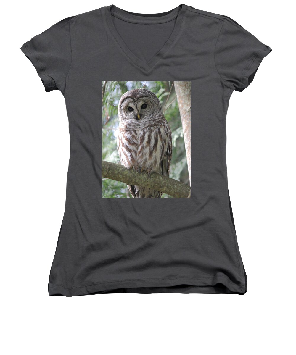 Owl Women's V-Neck featuring the photograph Security Cam by Randy Hall