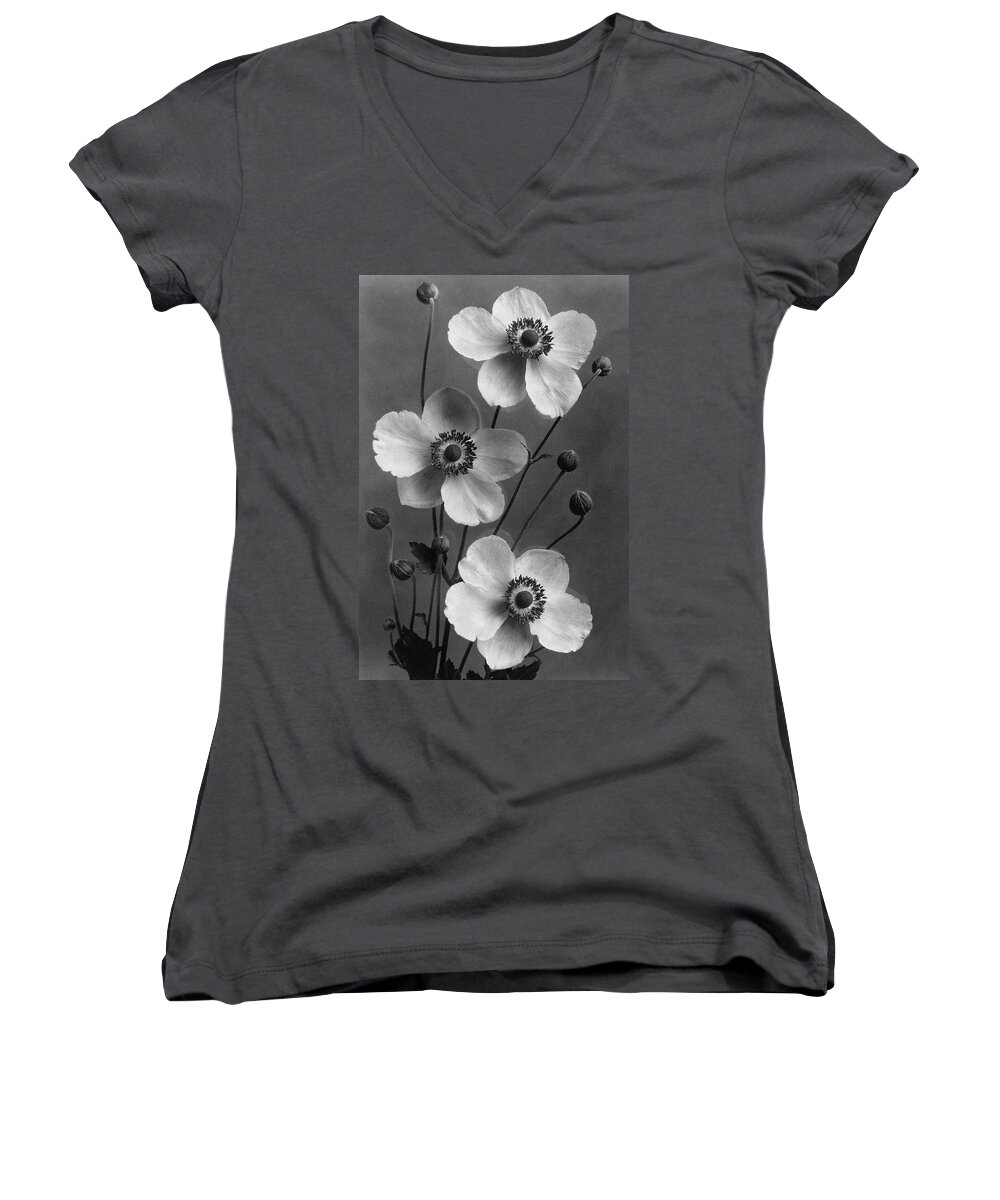 Flowers Women's V-Neck featuring the photograph September Charm Anemones by J. Horace McFarland