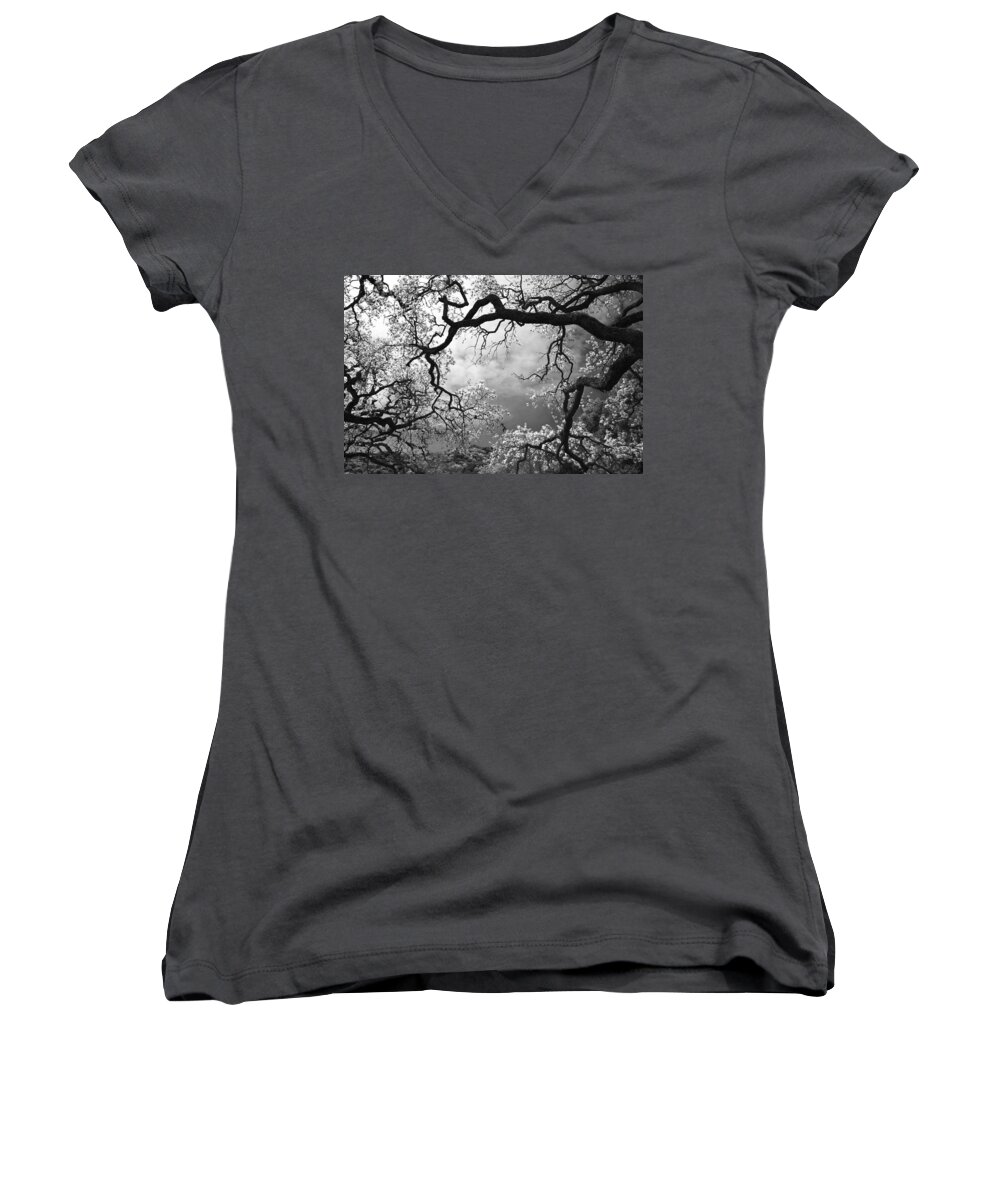 Oak Tree Women's V-Neck featuring the photograph Sheltering Sky by Laurie Search