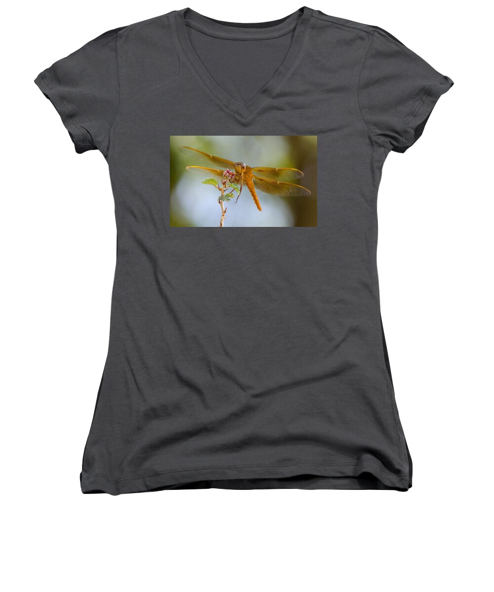 Red Dragonfly Women's V-Neck featuring the photograph Smile and Be Happy by Saija Lehtonen