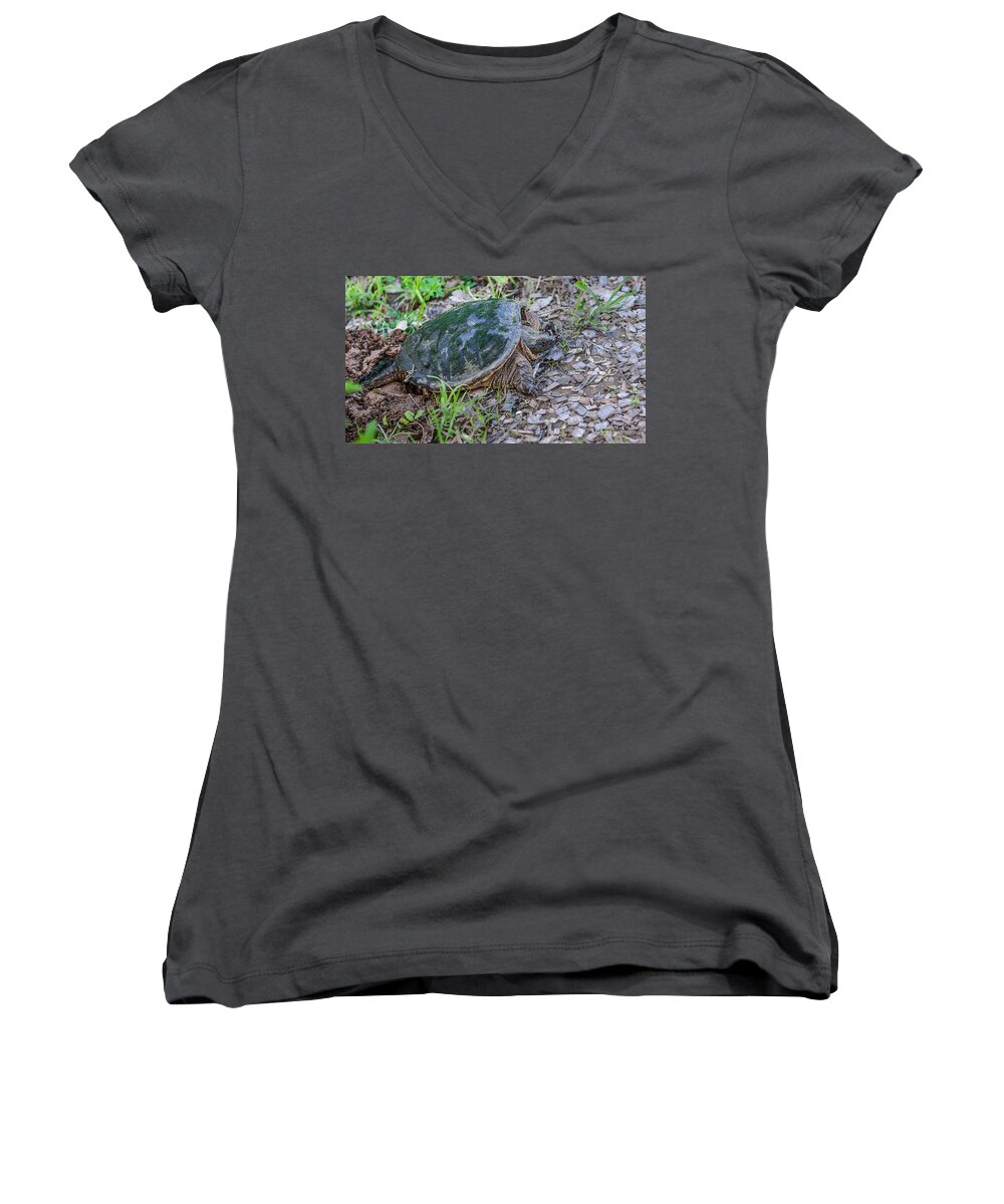 Heron Heaven Women's V-Neck featuring the photograph Snapper Eggs by Ed Peterson