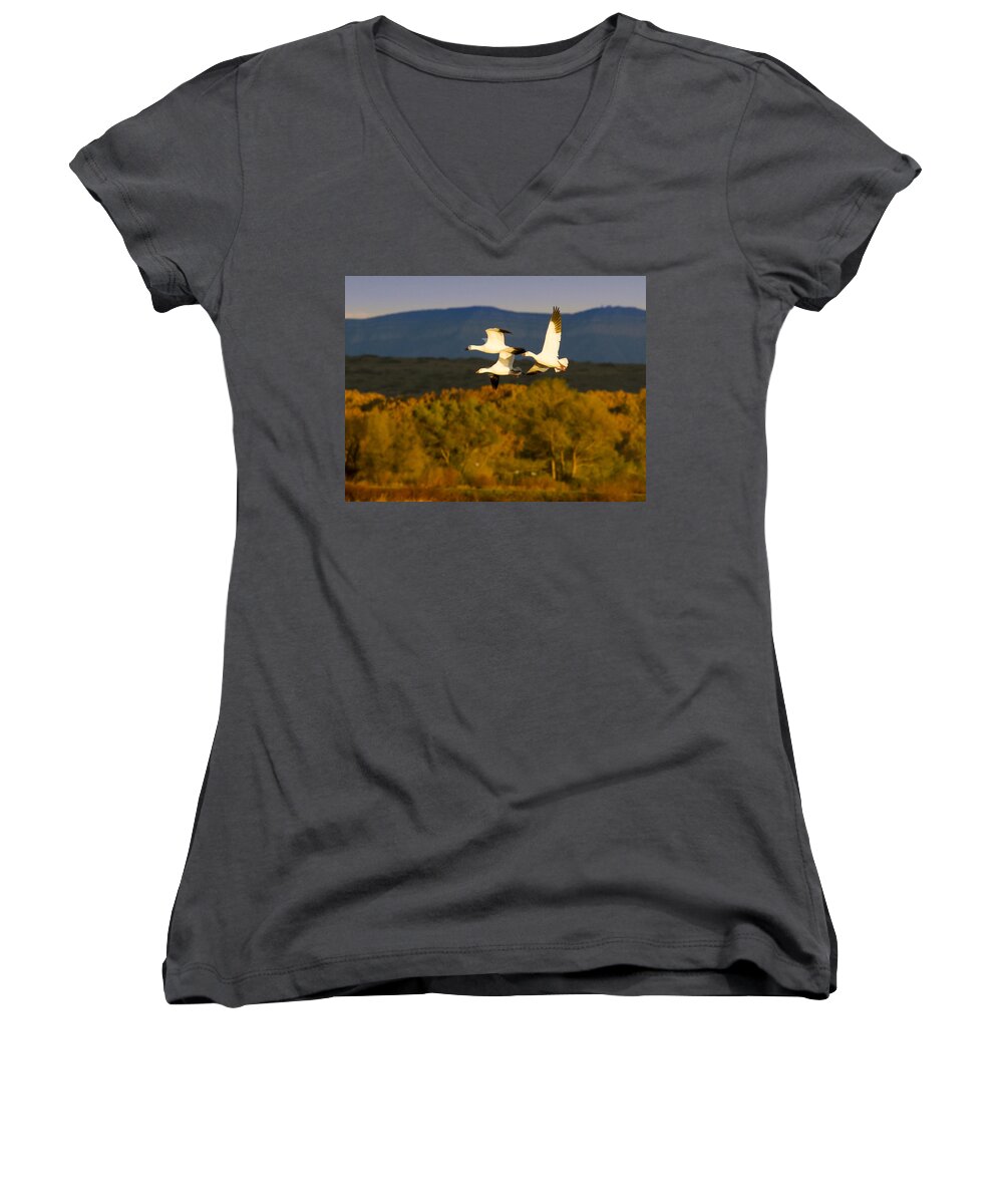 Bosque Del Apache Women's V-Neck featuring the photograph Snow Geese Flying in Fall by Jean Noren