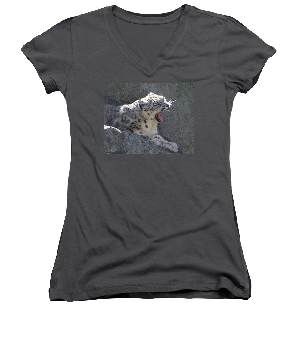 Panthera Uncia Women's V-Neck featuring the photograph Snow Leopard Yawn by Neal Eslinger