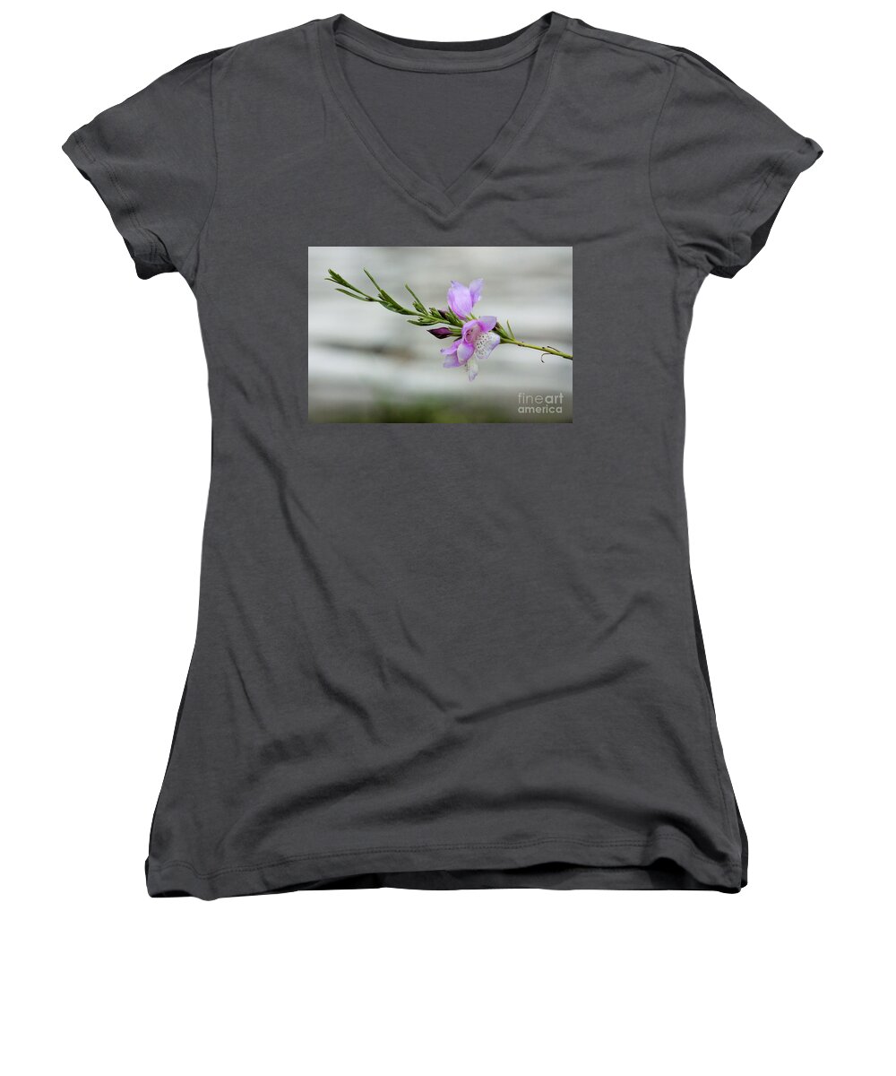 Flowers Women's V-Neck featuring the photograph Solitary by Marcia Breznay