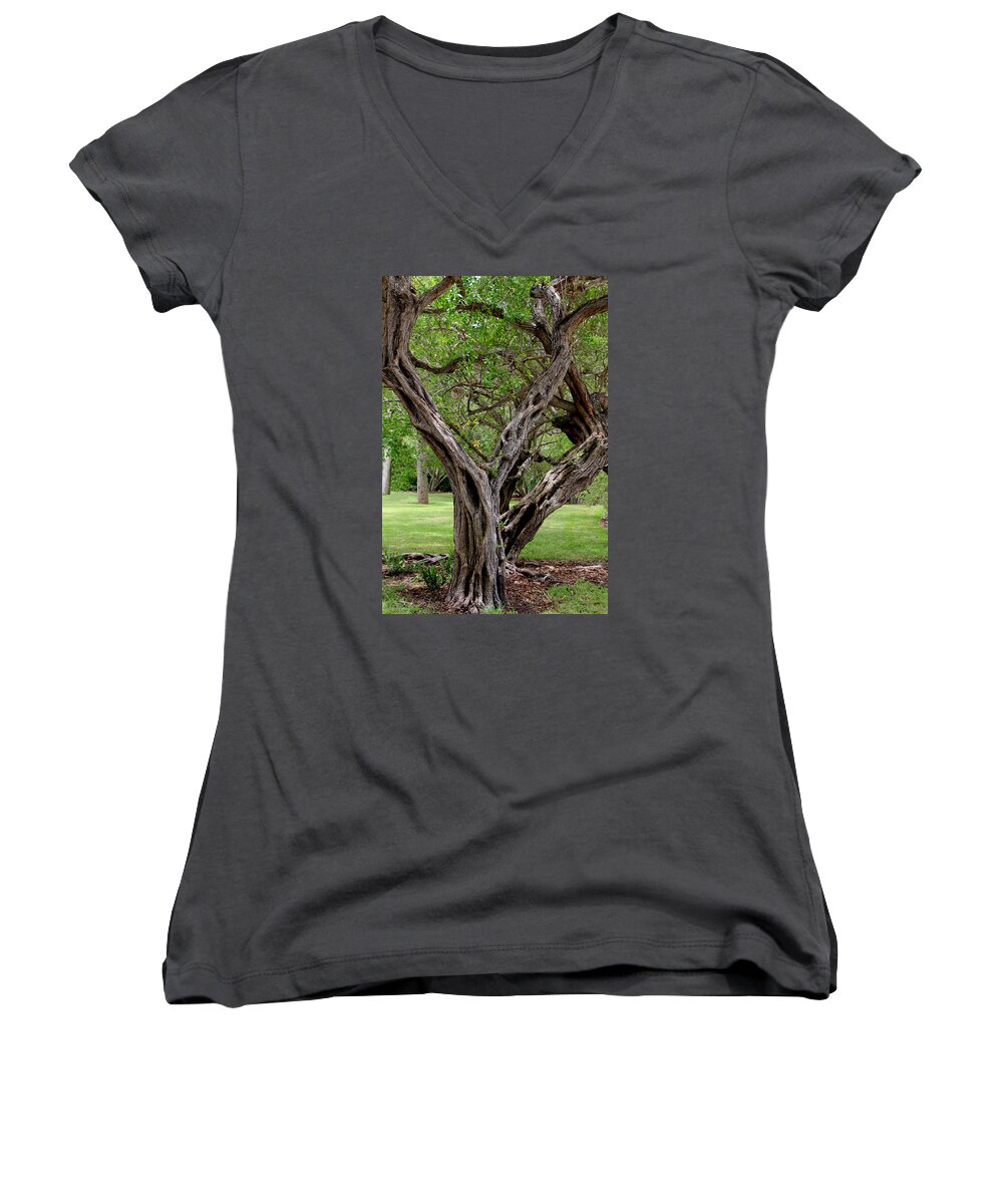 Tree Women's V-Neck featuring the photograph Spooky Tree by Rosalie Scanlon