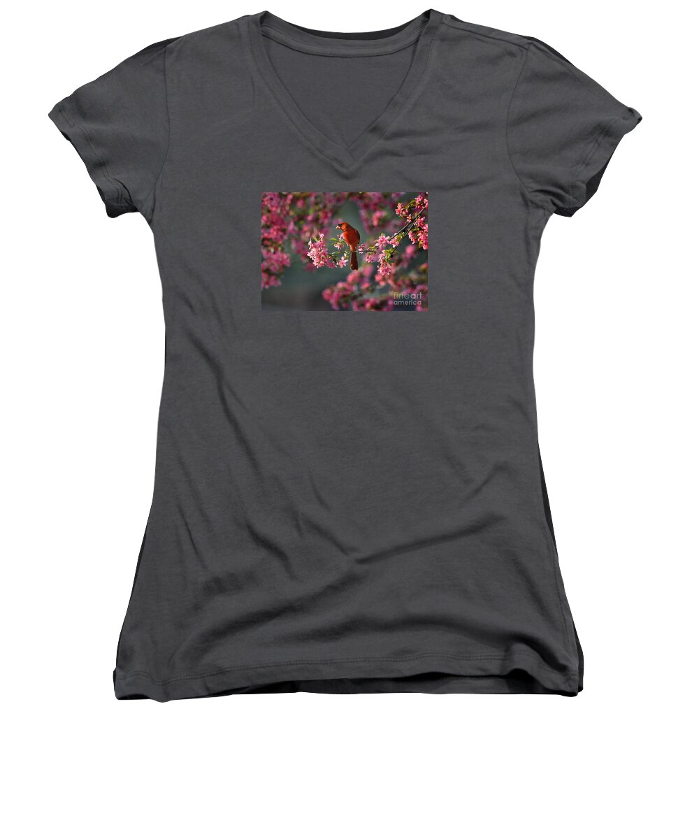 Nature Women's V-Neck featuring the photograph Spring Morning Cardinal by Nava Thompson