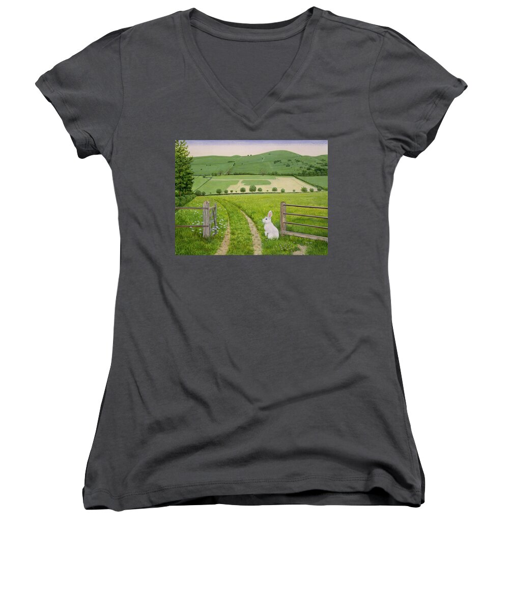 Fence Women's V-Neck featuring the painting Spring Rabbit by Ditz