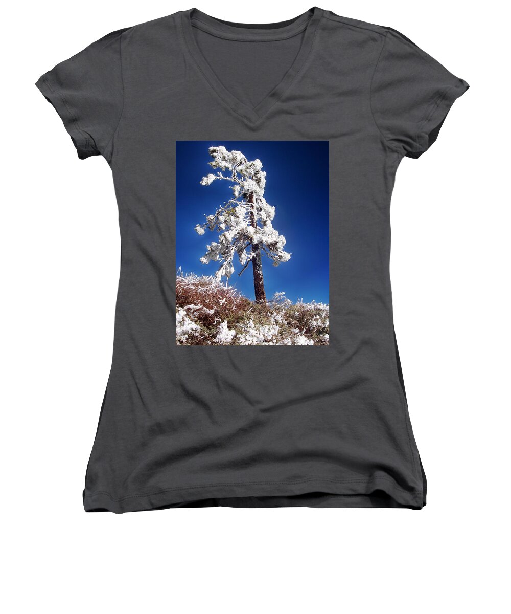 Standing Strong Women's V-Neck featuring the photograph Standing Strong by Glenn McCarthy Art and Photography