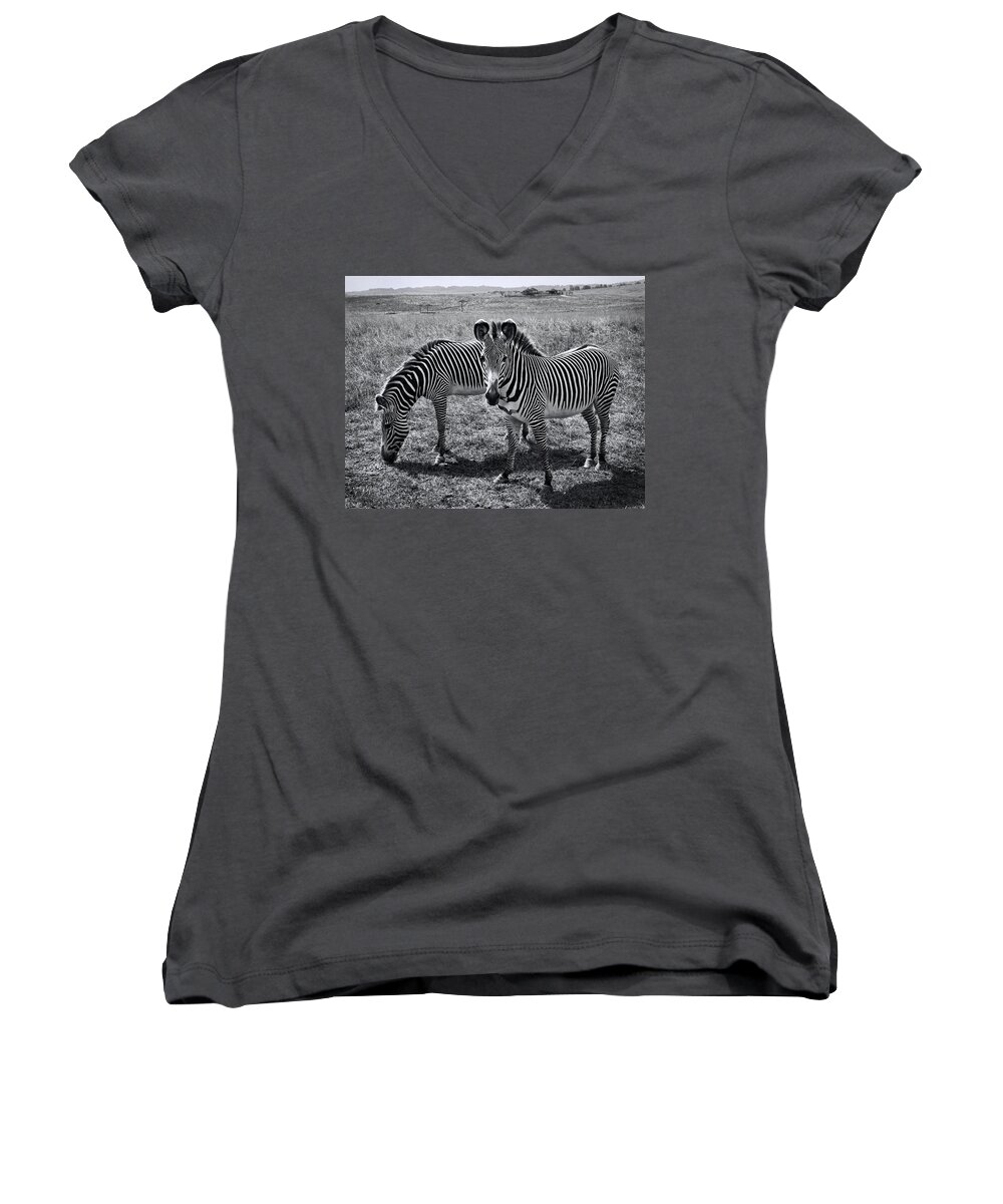 Stripes Duo Women's V-Neck featuring the photograph Stripes Duo by Phyllis Taylor