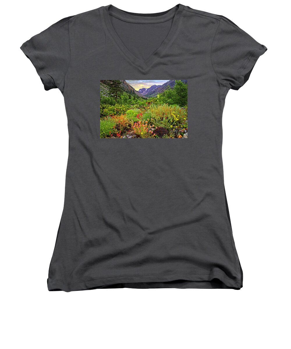 Summer Women's V-Neck featuring the photograph Summer Wildflowers in Lundy Canyon by Lynn Bauer
