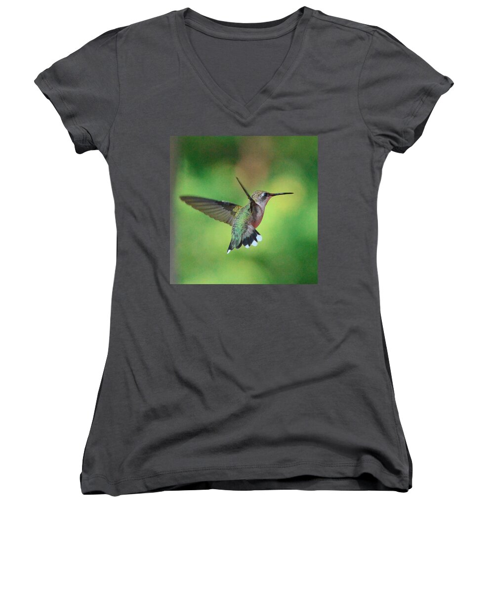 Hummingbird Women's V-Neck featuring the photograph Suncatcher by Amy Porter