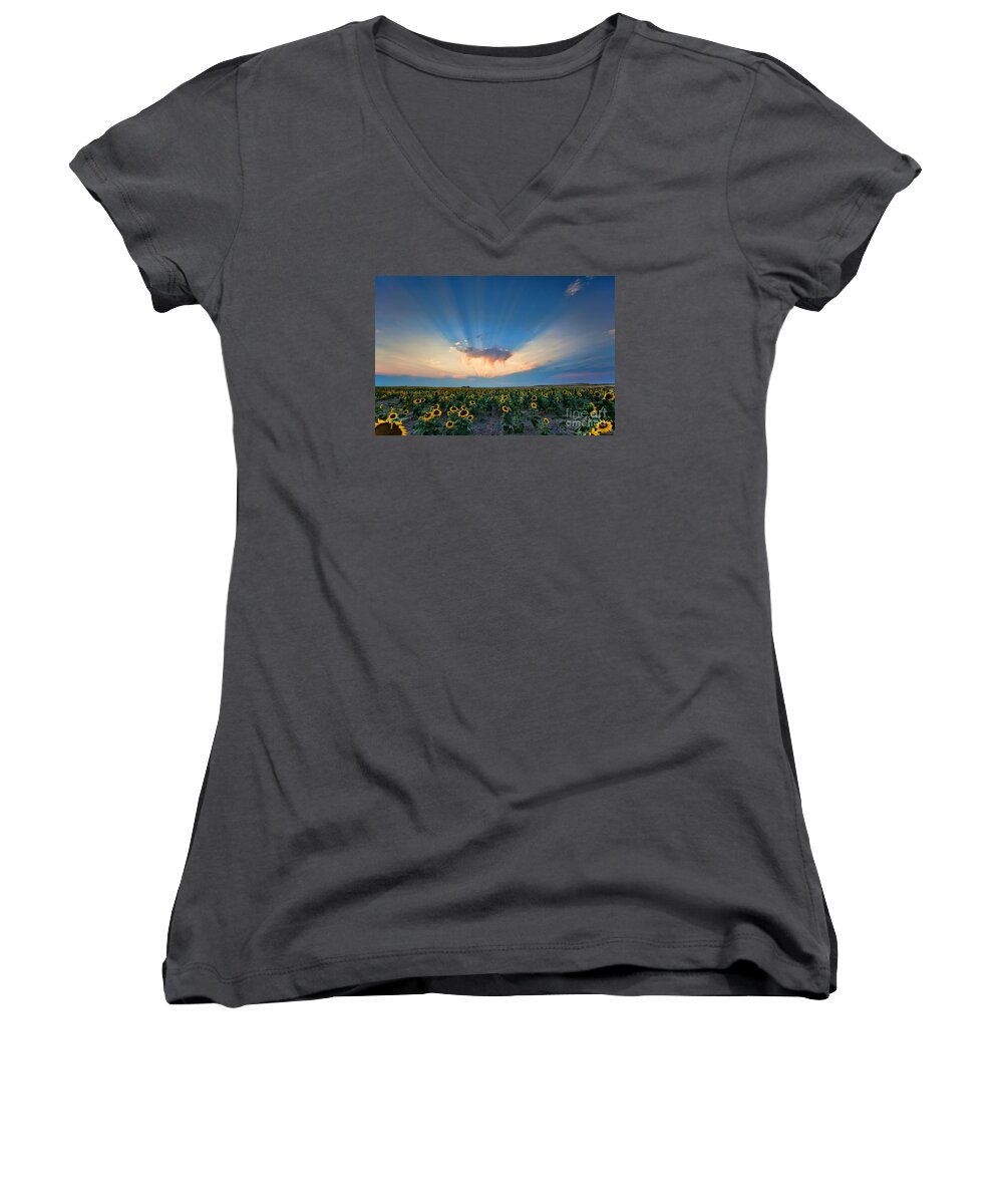 Flowers Women's V-Neck featuring the photograph Sunflower Field at Sunset by Jim Garrison