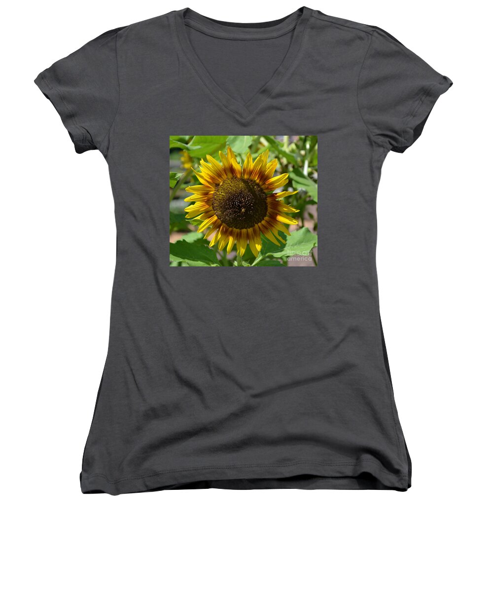 Sunflower Glory Women's V-Neck featuring the photograph Sunflower Glory by Luther Fine Art