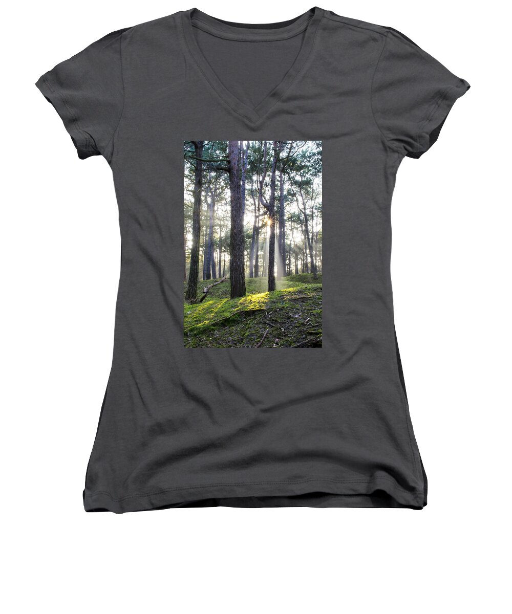 Trees Women's V-Neck featuring the photograph Sunlit Trees by Spikey Mouse Photography