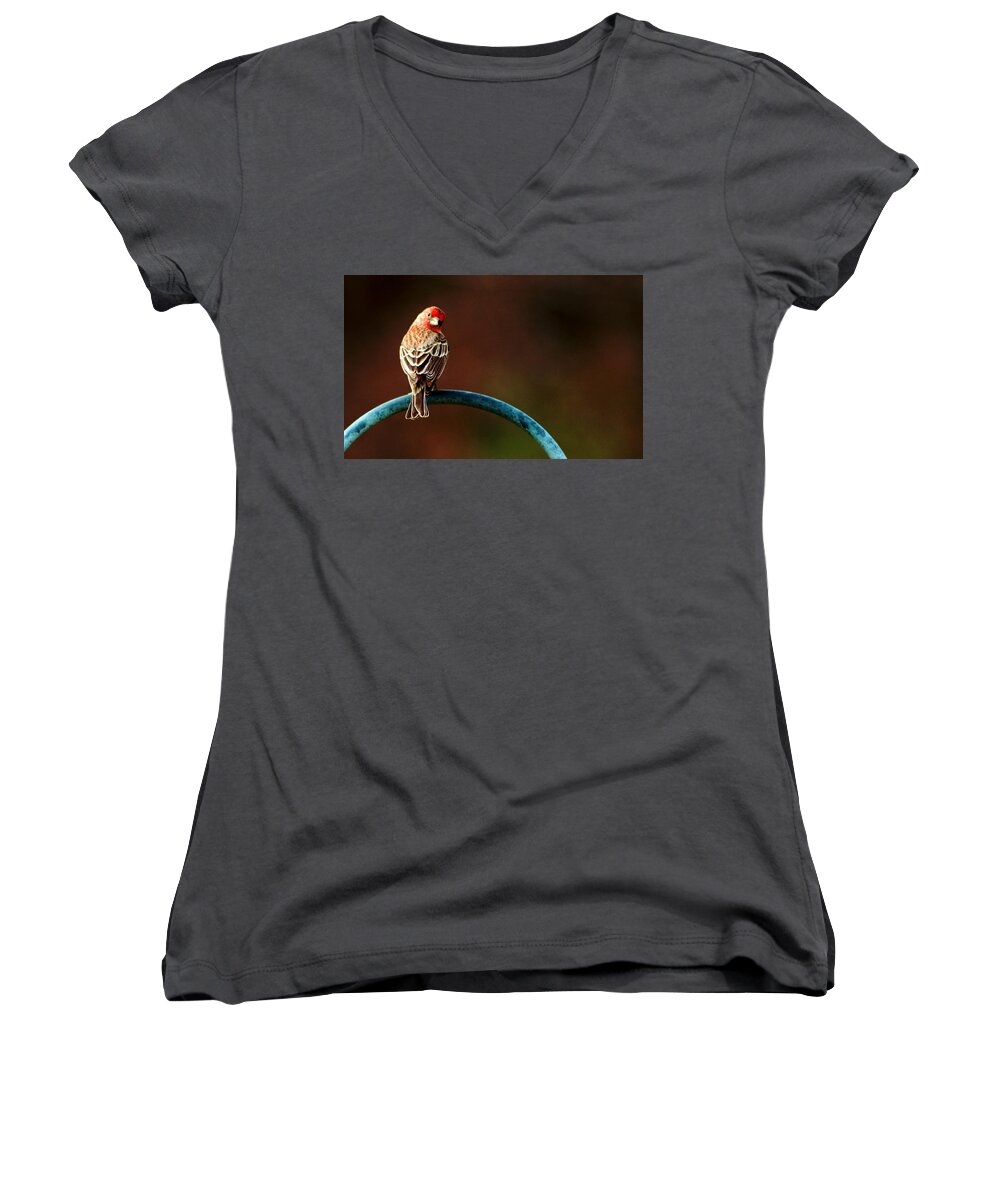 Surreal Women's V-Neck featuring the photograph Surreal Purple Finch by David Yocum