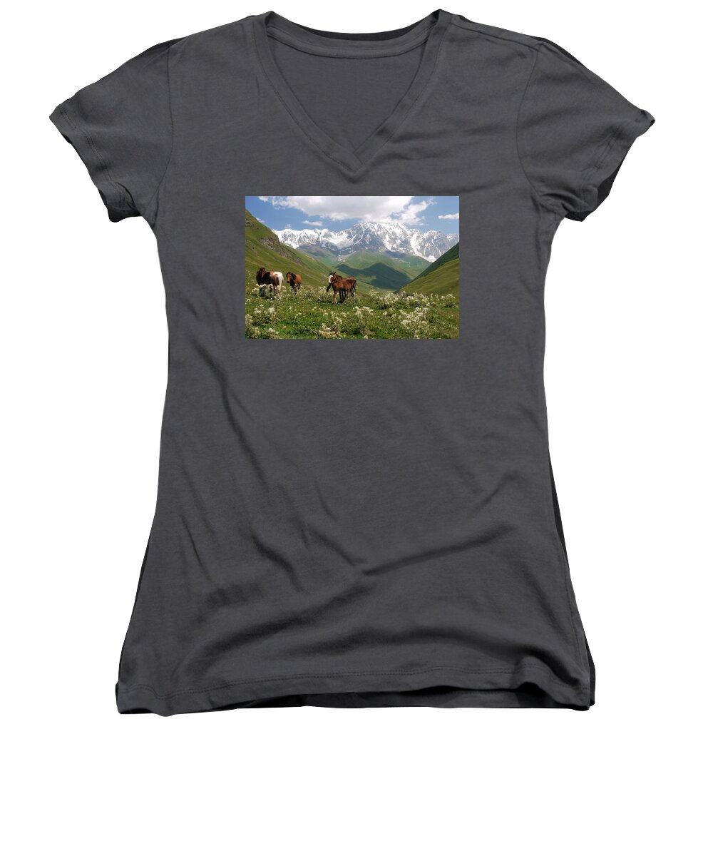 Horse Women's V-Neck featuring the photograph Svaneti by Ivan Slosar