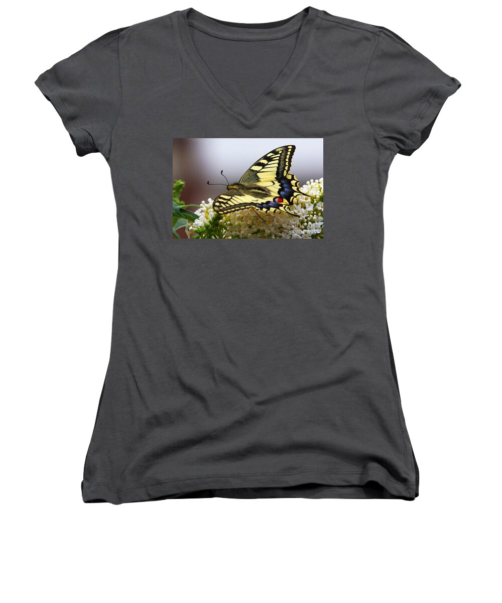 Swallowtail Women's V-Neck featuring the photograph Swallowtail butterfly by Nick Biemans