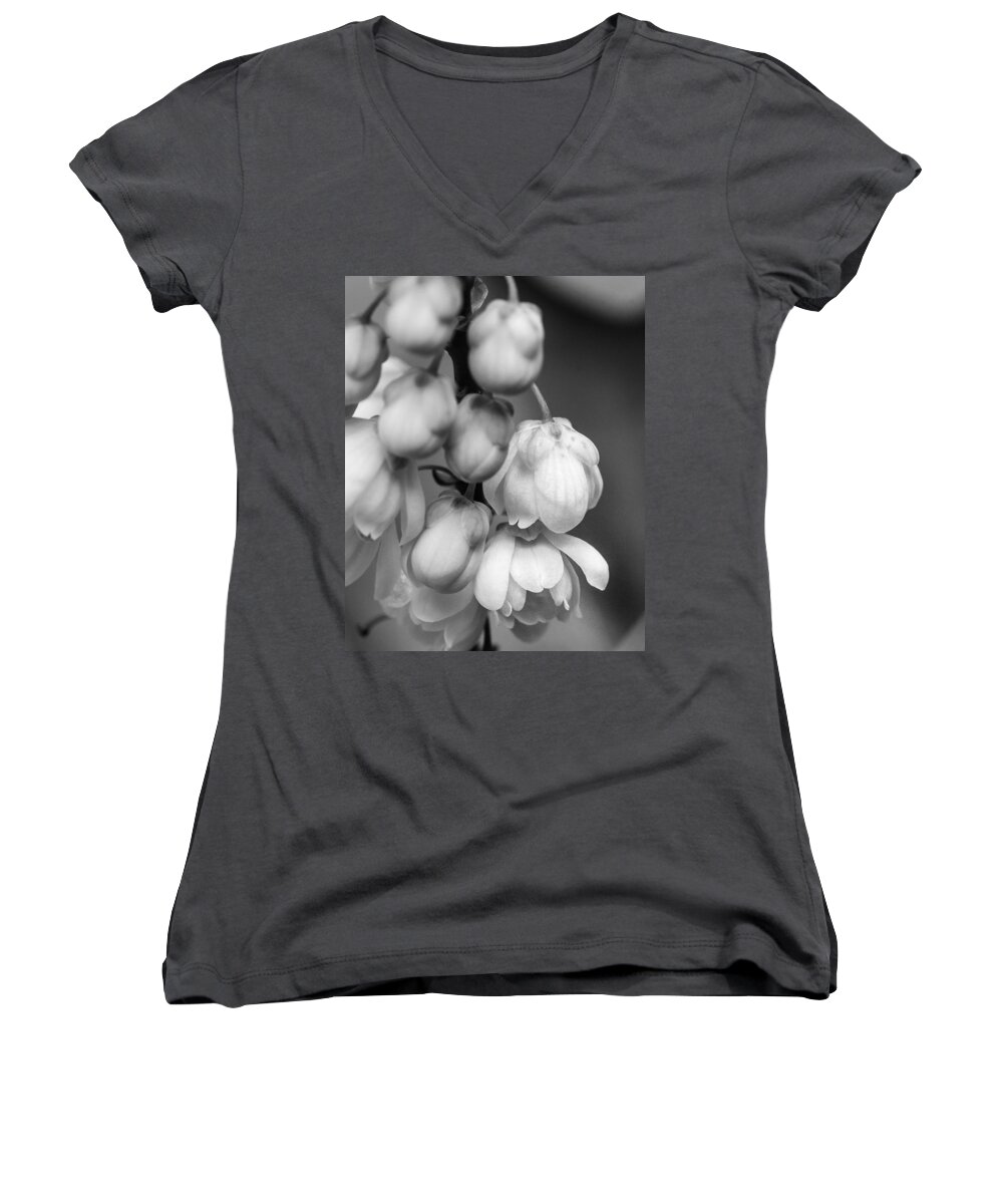 Mahonia Holly Women's V-Neck featuring the photograph Sweet Mahonia Bloom by Patricia Schaefer