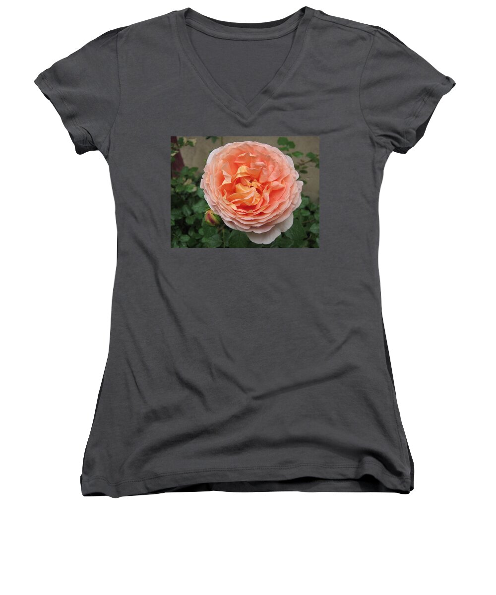 Rose Women's V-Neck featuring the photograph Sweet Rhapsody by Pema Hou