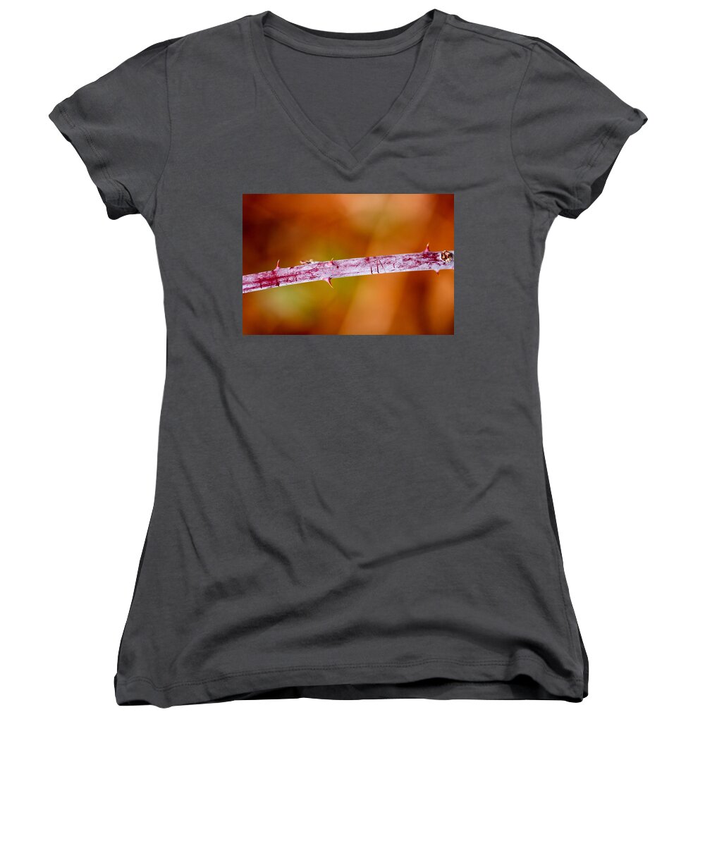 Thorn Women's V-Neck featuring the photograph The Bitter Warmth Of Winter by Shane Holsclaw