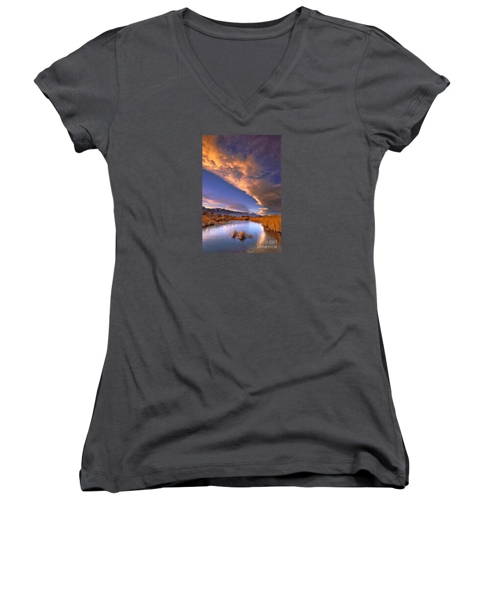 California Women's V-Neck featuring the photograph The GIFT by Alice Cahill