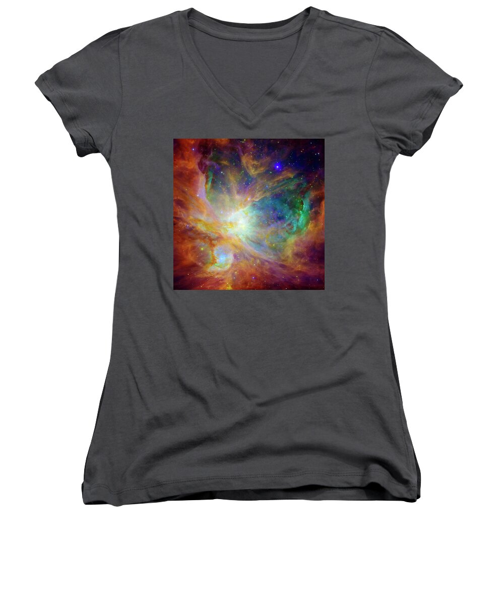 #faatoppicks Women's V-Neck featuring the photograph The Hatchery by Jennifer Rondinelli Reilly - Fine Art Photography