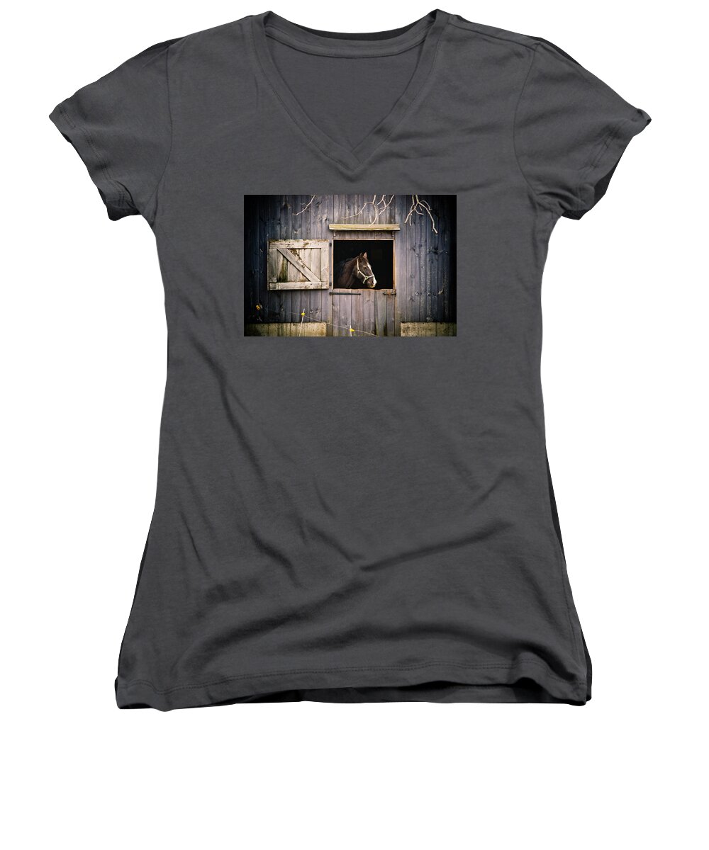 Barn Women's V-Neck featuring the photograph The Horse by Kristy Creighton