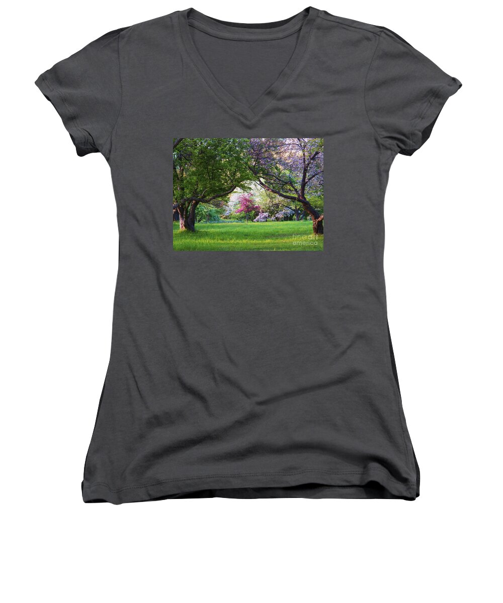 Spring Women's V-Neck featuring the photograph There is No Place Like Spring by Judy Via-Wolff