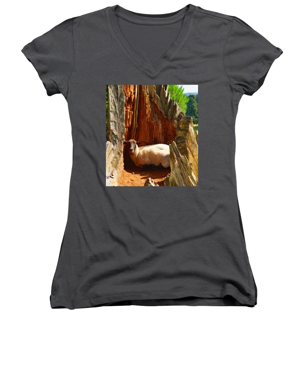Lamb Women's V-Neck featuring the photograph This is my spot by Ron Harpham