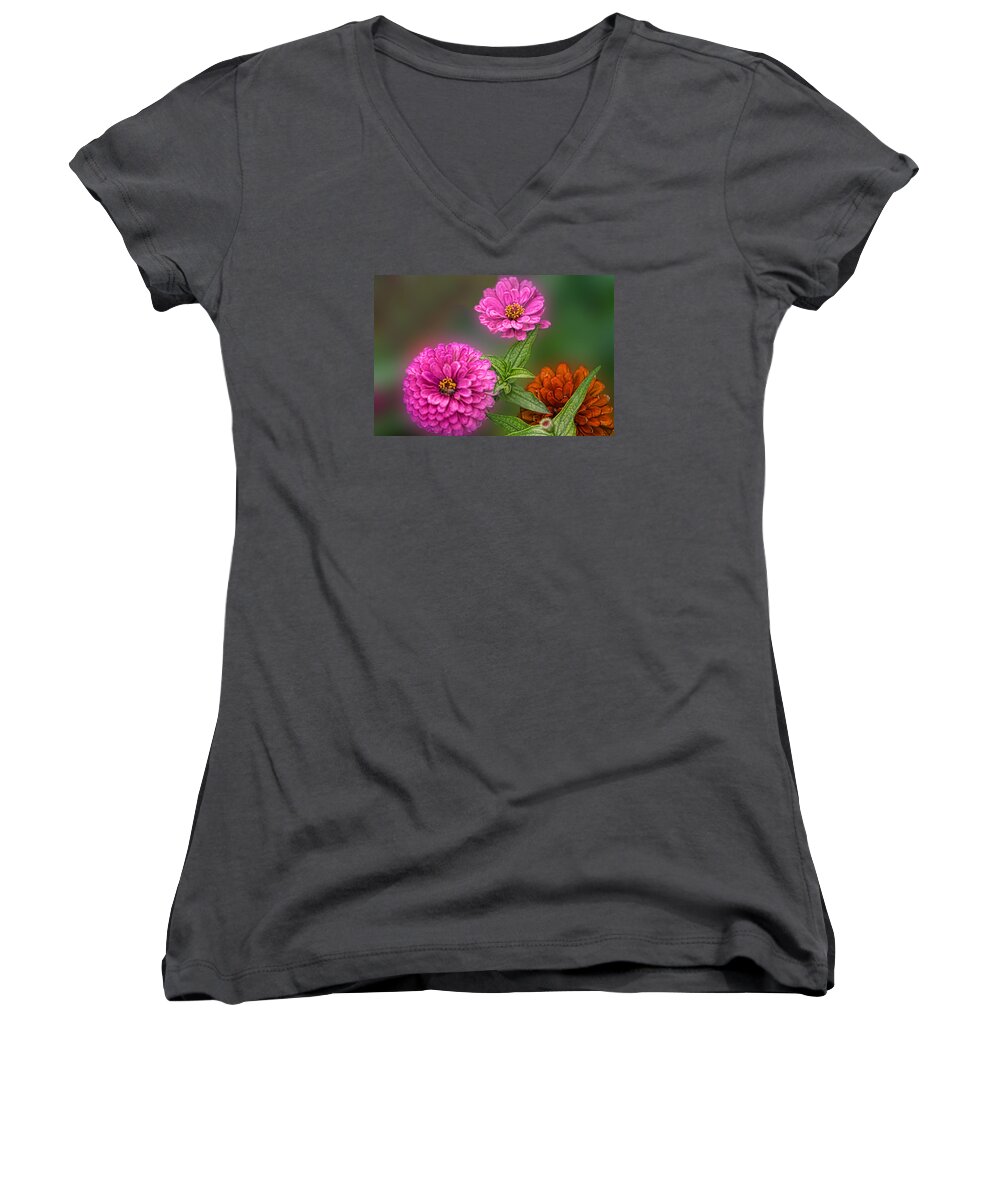 Nature Women's V-Neck featuring the relief Three Can Be a Crowd by Linda Phelps