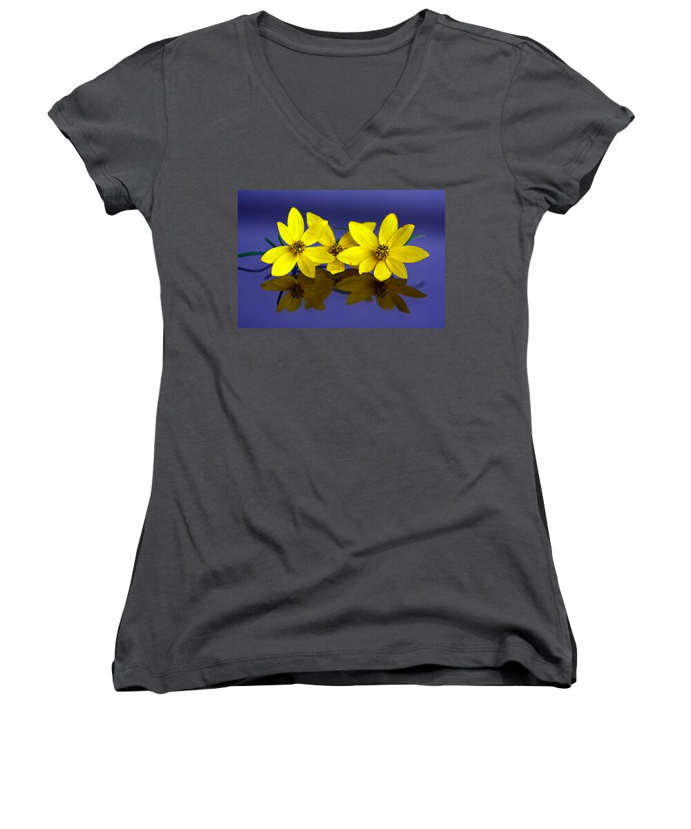 Tiny Yellow Flowers Women's V-Neck featuring the photograph Tickseed Trio by Suzanne Stout