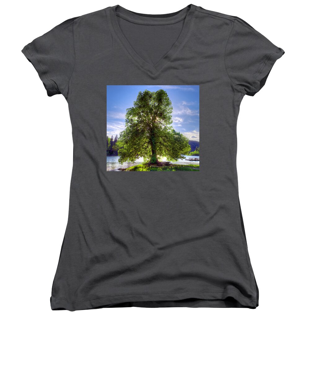 Autumn Women's V-Neck featuring the photograph Tree by Ivan Slosar