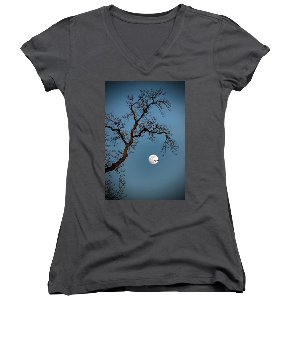 Gull Women's V-Neck featuring the photograph Tree Moon Gull by Jerry Gammon