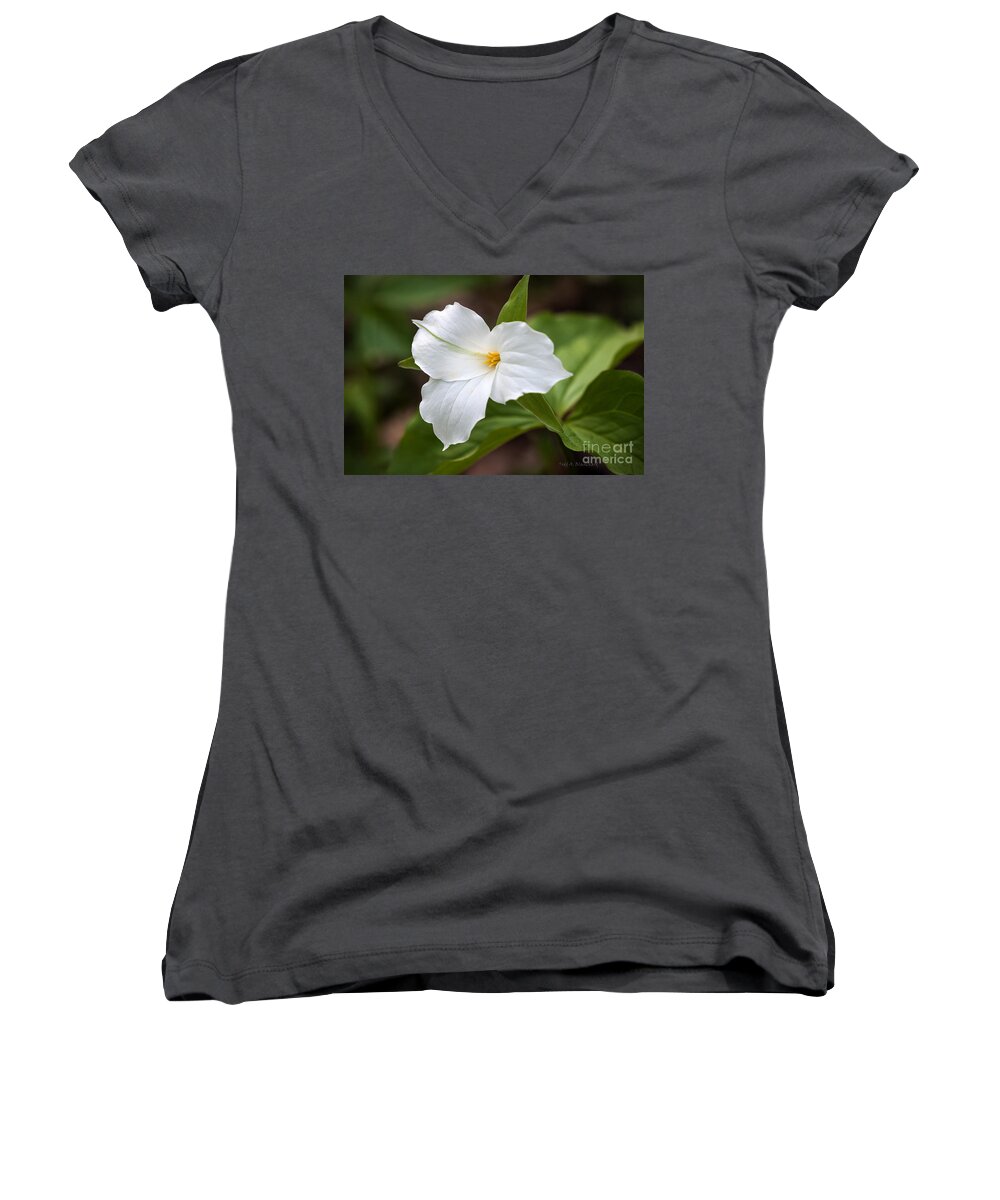 Flower Women's V-Neck featuring the photograph Trillium by Todd Blanchard
