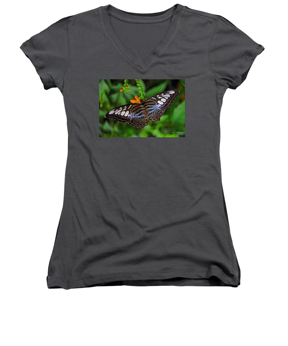 Butterfly Women's V-Neck featuring the photograph Tropical Butterfly by Marie Hicks