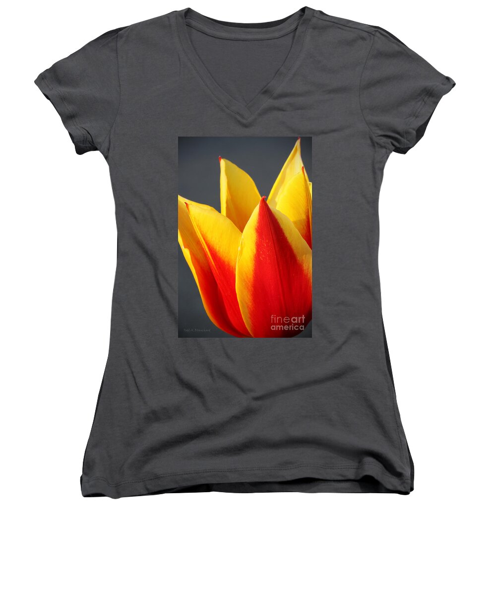 Macro Women's V-Neck featuring the photograph Tulip by Todd Blanchard
