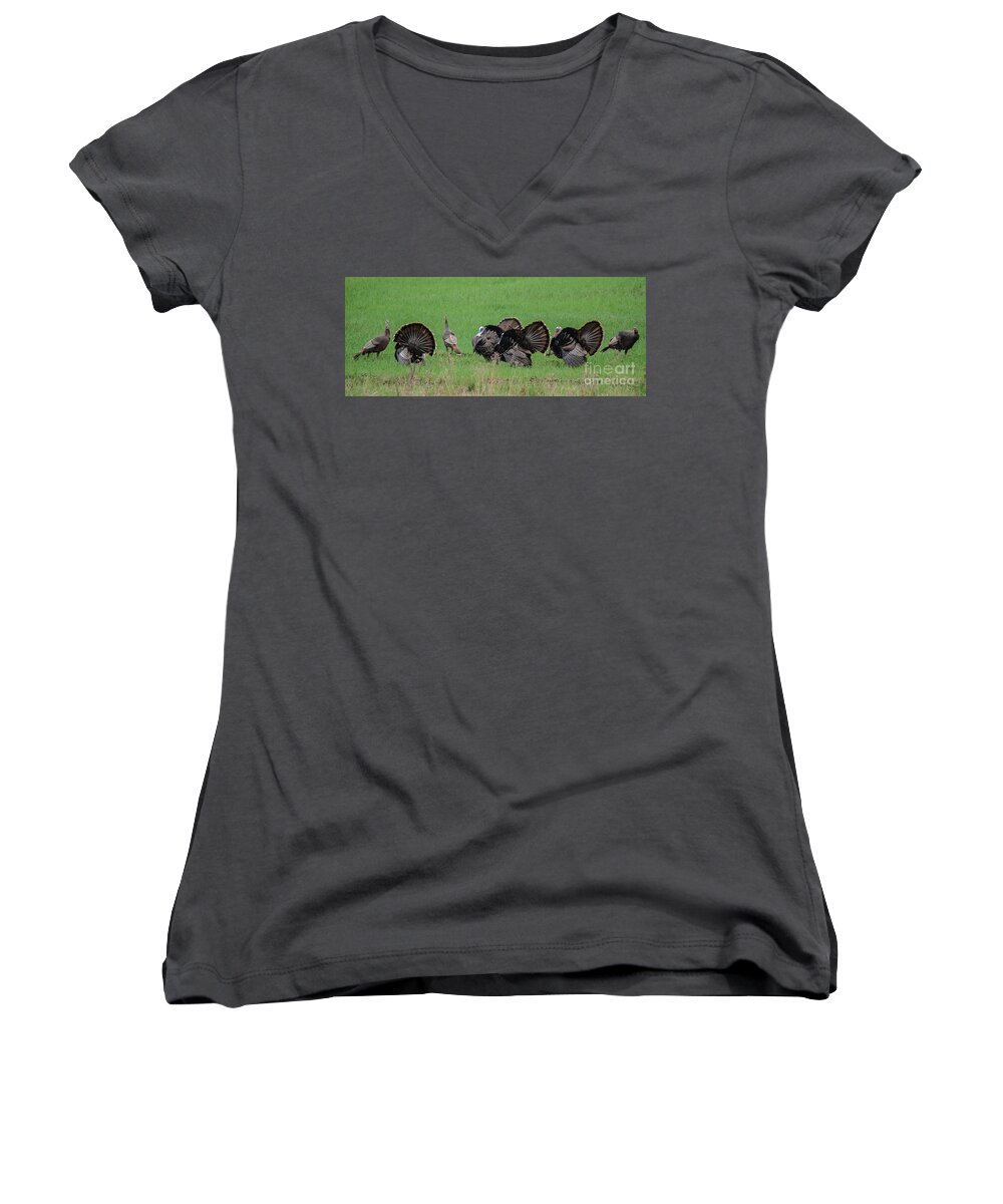 Landscape Women's V-Neck featuring the photograph Turkey Mating Ritual by Cheryl Baxter