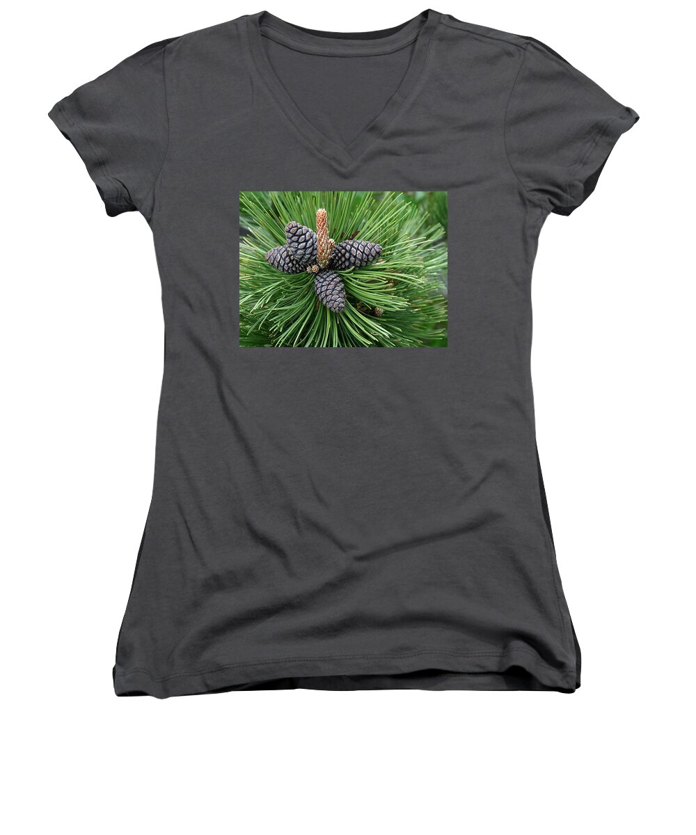 Pine Women's V-Neck featuring the photograph Up Cone by Leeon Photo