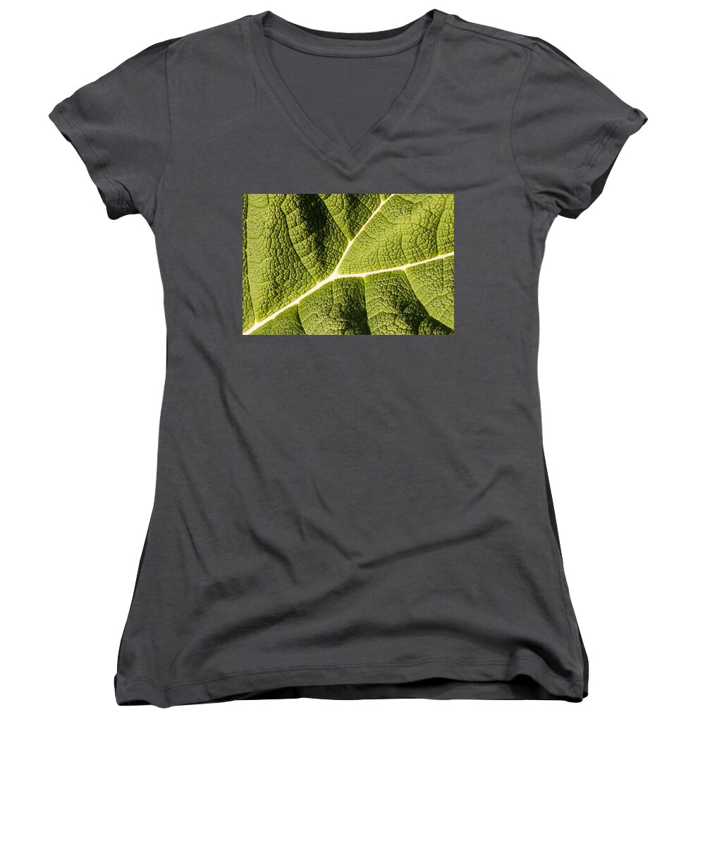 Botanical Women's V-Neck featuring the photograph Veins of a Leaf by John Wadleigh