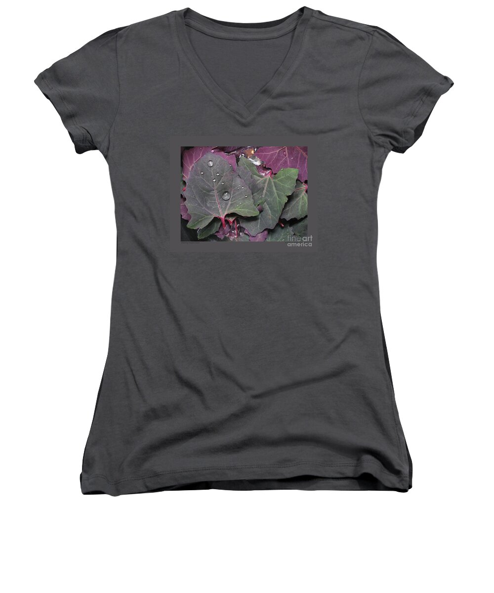 Orach Women's V-Neck featuring the photograph Washing Purple Orach by Patricia Overmoyer