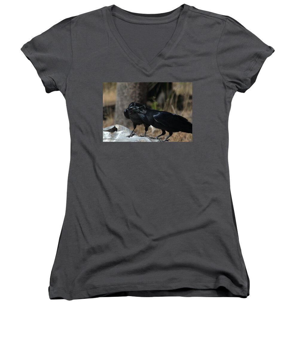 Raven Women's V-Neck featuring the photograph Whoa you should see a dentist by Frank Madia