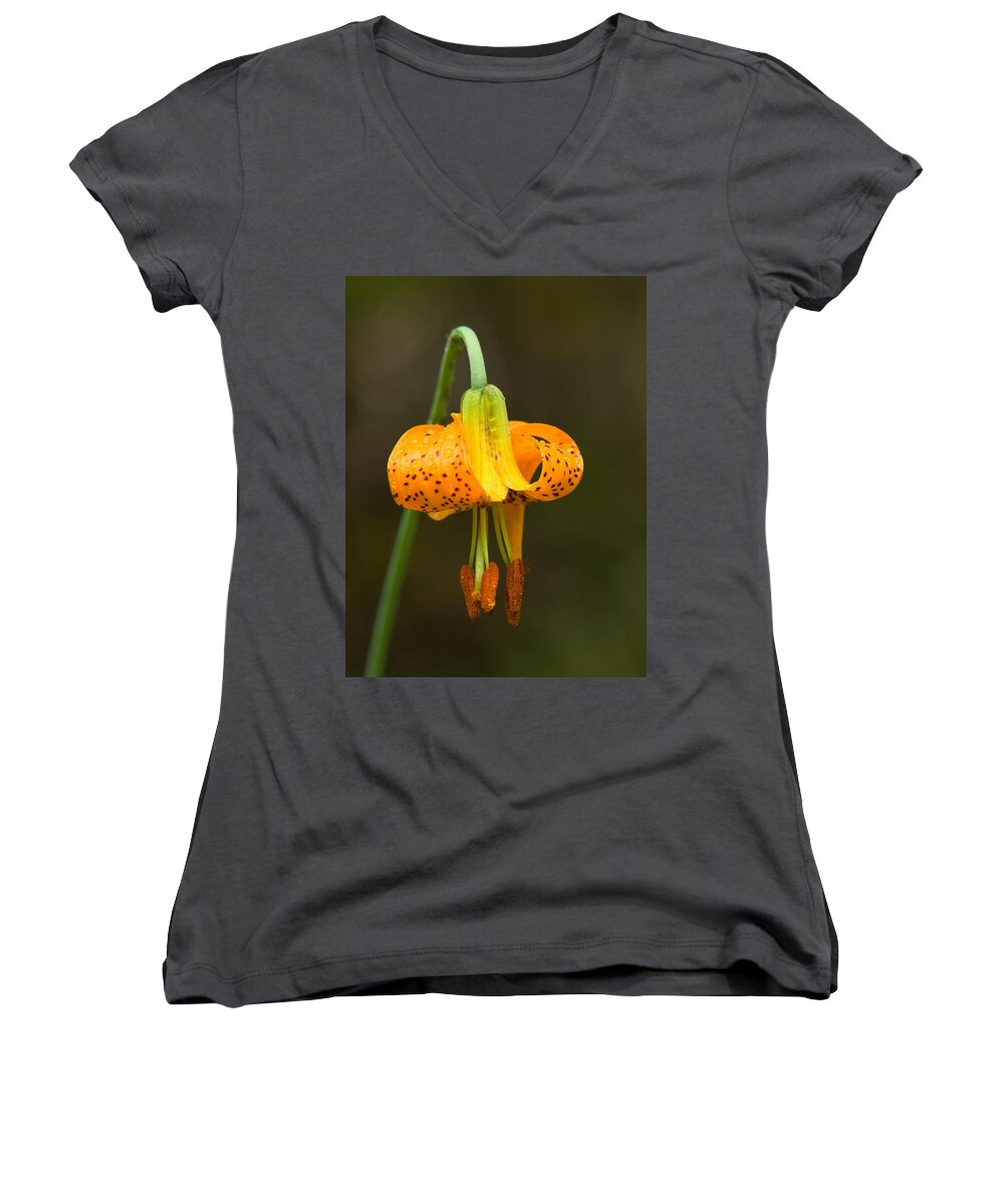 Flowers Women's V-Neck featuring the photograph Wild Tiger Lily by Paul DeRocker