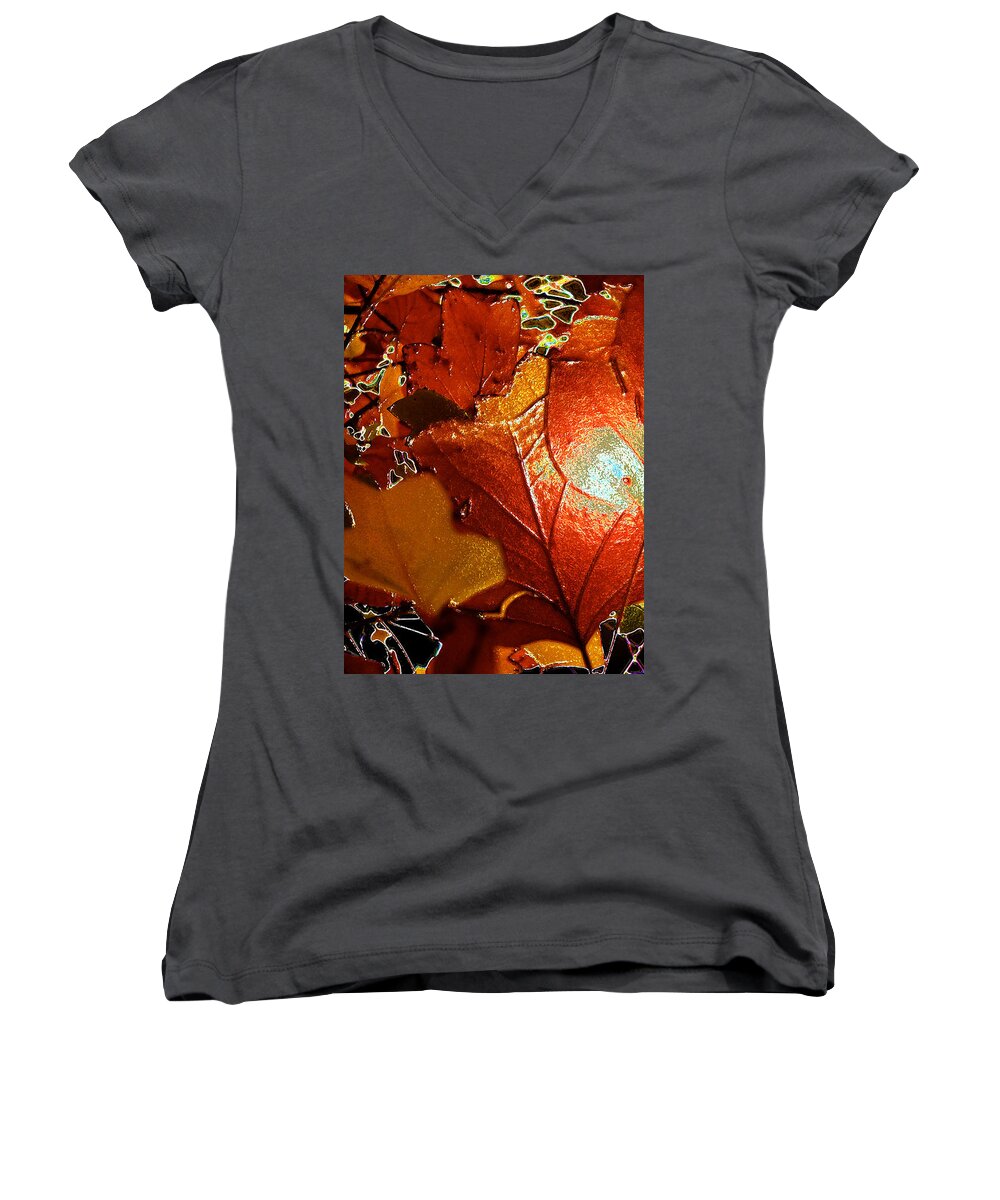 Kenneth James Women's V-Neck featuring the photograph winters autumn in Pasadena by Kenneth James