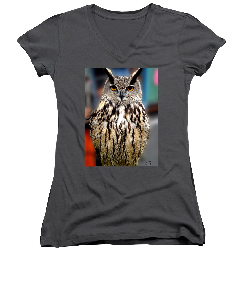 Colette Women's V-Neck featuring the photograph Wise forest mountain Owl Spain by Colette V Hera Guggenheim