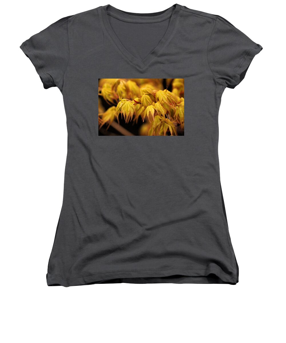 Woods Women's V-Neck featuring the photograph Woodland Awakening by Carolyn Jacob